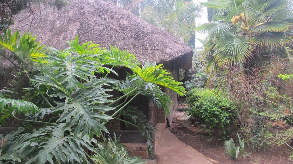 Aero Guest Lodge Kempton Park Luaran gambar